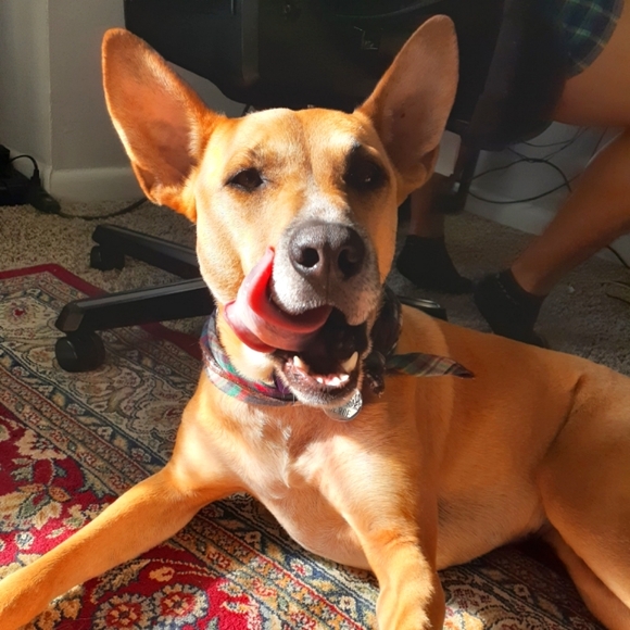 My babies and I 😻 - Picture 4 of 5